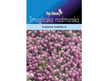 Zdjęcie: Smagliczka nadmorska TOP DECOR