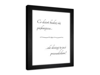 Zdjęcie: Obraz Modernpik 30x40 cm Fr261 Co Dzień STYLER
