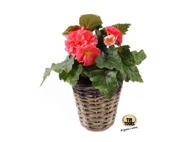 Zdjęcie: Osłonka wiklinowa 15x15x13 cm TIN TOURS
