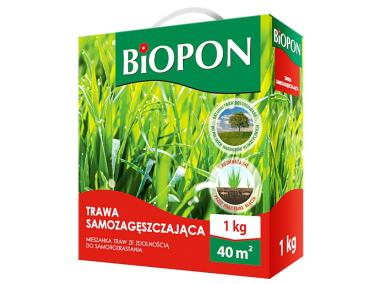 Zdjęcie: Trawa samozagęszczająca 1 kg BOPON