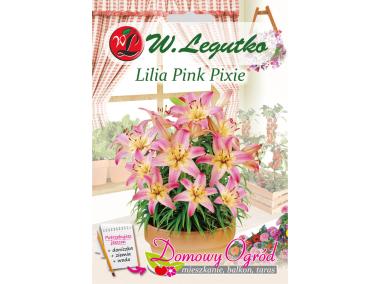Zdjęcie: Lilia Pink Pixie różowa W.LEGUTKO