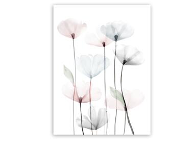 Obraz Canvas Flowers 60x80 cm St544 Modern Poppy 2 STYLER