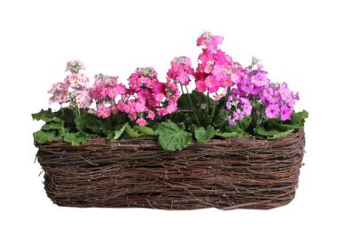 Zdjęcie: Balkonówka z brzozy z folią 51x21x17 cm prostokątna TIN TOURS