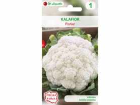 Kalafior Pionier 1 g W. LEGUTKO