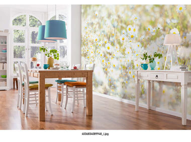 Zdjęcie: Fototapeta Daisies VENA