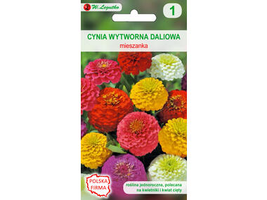 Zdjęcie: Cynia wytworna daliowa mieszanka nasiona tradycyjne 1 g W. LEGUTKO