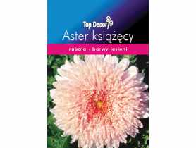 Aster książęcy TOP DECOR
