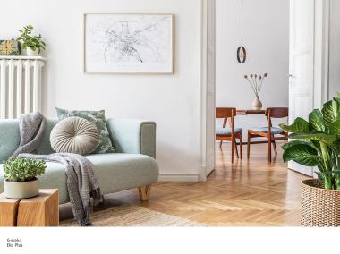 Zdjęcie: Farba EKO plus 10L ŚNIEŻKA