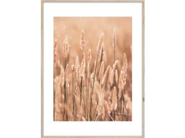 Zdjęcie: Obraz Artbox Digi 50x70 cm Grasses II STYLER