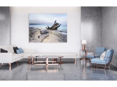 Zdjęcie: Obraz Canvas Sand 85x113 cm St470 Branch Fsc Mix 70% STYLER