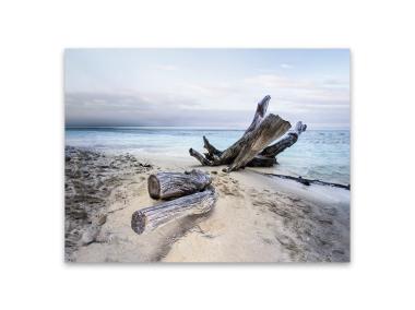Zdjęcie: Obraz Canvas Sand 85x113 cm St470 Branch Fsc Mix 70% STYLER