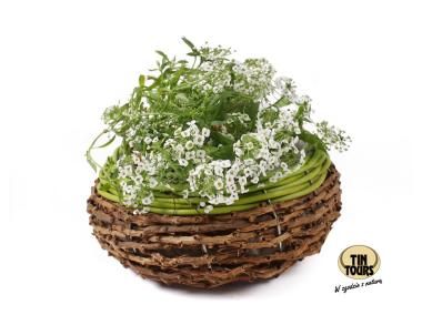 Zdjęcie: Doniczka na kwiaty z folią 22x10 cm okragła TIN TOURS