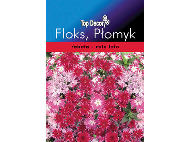 Zdjęcie: Floks, Płomyk TOP DECOR