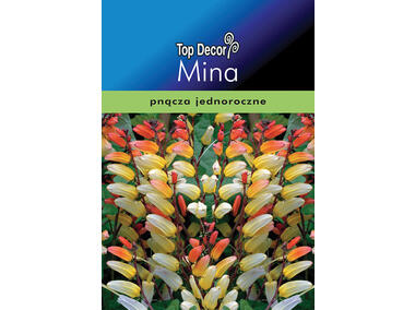 Zdjęcie: Mina TOP DECOR