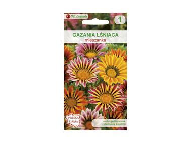 Zdjęcie: Gazania lśniąca mieszanka nasiona tradycyjne 0.2 g W. LEGUTKO