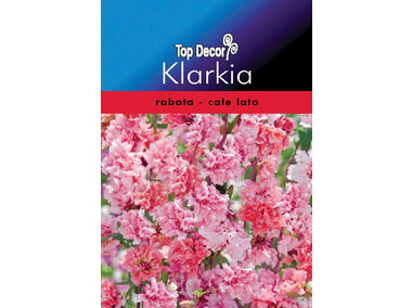 Zdjęcie: Klarkia, Dzierotka TOP DECOR