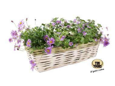 Zdjęcie: Balkonówka doniczka wiklinowa z folią na kwiaty 42x16x12 cm TIN TOURS