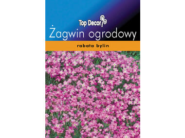 Zdjęcie: Żagwin ogrodowy TOP DECOR