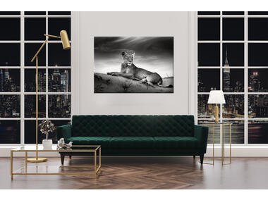 Zdjęcie: Obraz Glasspik animals 70x100 cm lione STYLER