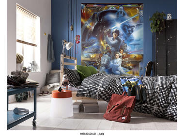 Zdjęcie: Fototapeta Star Wars Luke Skywalker Collage VENA