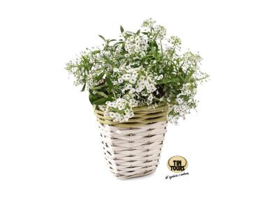 Zdjęcie: Osłonka wiklinowa na doniczkę 12x12x13 cm TIN TOURS