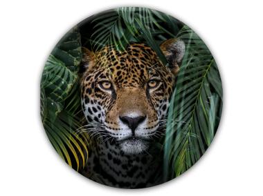 Zdjęcie: Obraz Glas Ringart. 70 cm Gr018 Jungle STYLER