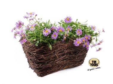 Zdjęcie: Balkonówka z brzozy/wrzosówka 30x18x15 cm mała TIN TOURS