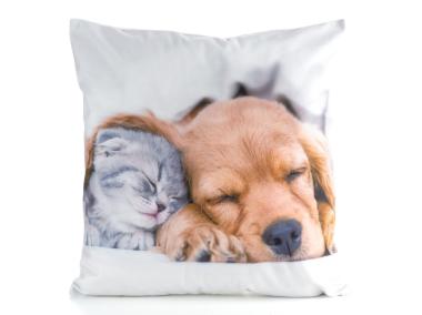 Zdjęcie: Poszewka Animal 69 biała 45 x 45 cm Mink EUROFIRANY