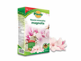 Nawóz do magnolii 1 kg PLANTA