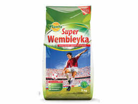 Trawa boiskowa Super Wembleyka 5 kg PLANTA