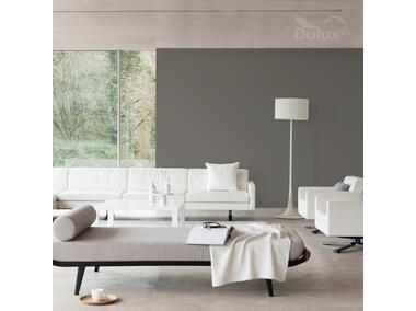 Zdjęcie: Farba do wnętrz EasyCare 5 L mocna kawa DULUX