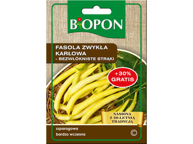 Zdjęcie: Fasola zwykła karłowa bezwłókniste strąki żółtostrąkowe 25 g BIOPON
