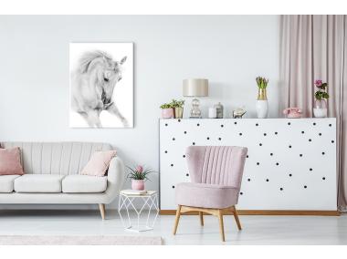 Zdjęcie: Obraz Canvas 60x80x1,8 cm Ex623 White Horse STYLER