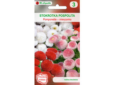 Zdjęcie: Stokrotka pospolita Pomponette mieszanka 0,1 g W .LEGUTKO
