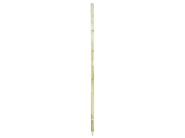 Zdjęcie: Palik do drzewek 6x250 cm COMPLEX