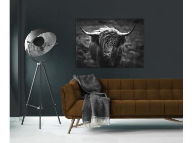 Zdjęcie: Obraz Glasspik 50x70 cm Ex633 Horns STYLER