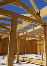 Drewno konstrukcyjne – na co zwrócić uwagę podczas zakupów