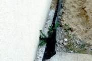 więcej
