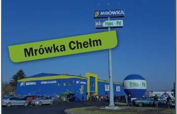 Mrówka Chełm