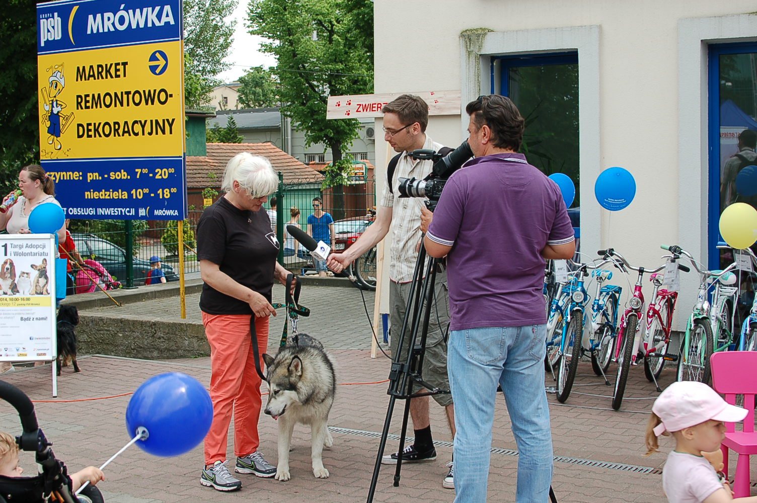 i-targi-adopcji-i-wolontariatu-zwierzolubni