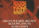 grupa-psb-zostala-liderem-informatyki-2005