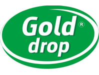 GOLD DROP