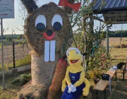 PSB Mrówka Różan - Festyn lokalny