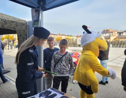 PSB Mrówka Parczew - Festyn lokalny